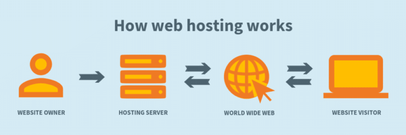 What is Website Hosting