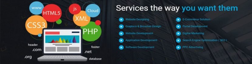 Website Designing Company In Haryana